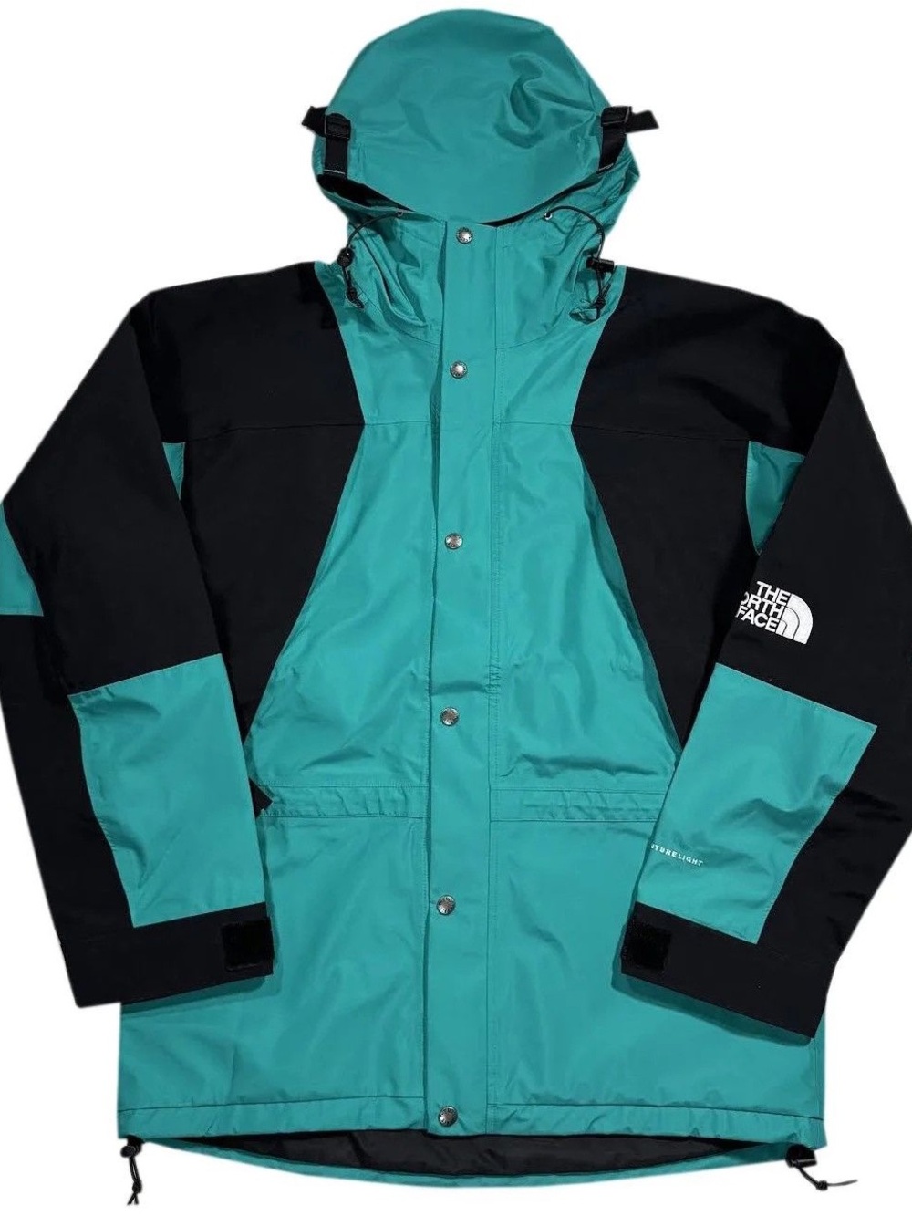 The North Face 1994 Retro Mountain Light FUTURELIGHT Jacket